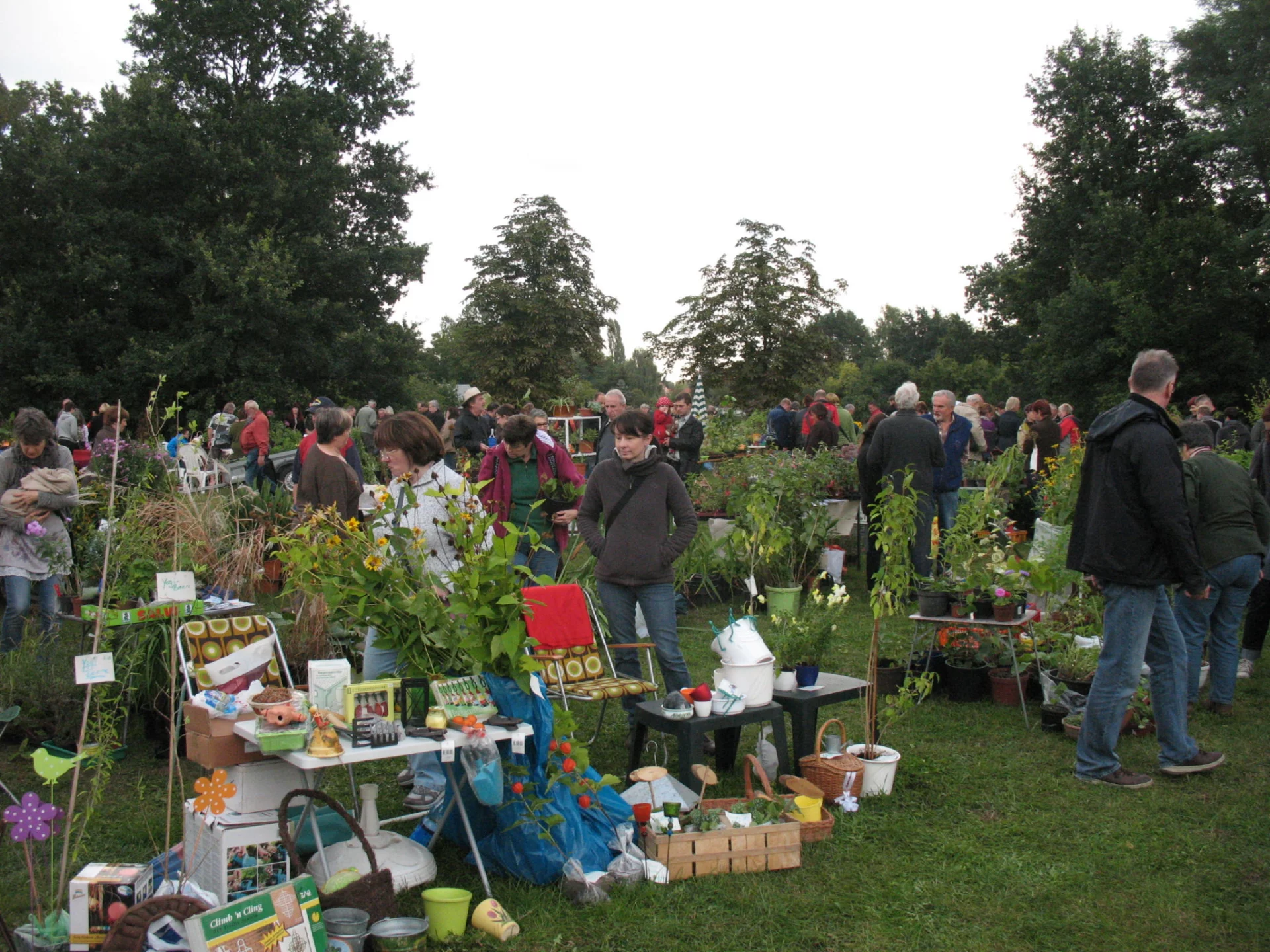 25.04.2026 Pflanzenbörse