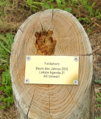 Gedenktafel an einem Baum im Garten der Vielfalt