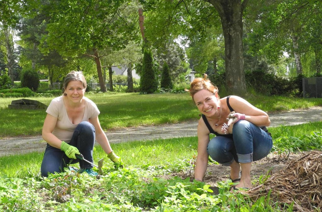 Rosenbeete werden gepflanzt im Garten der Vielfalt