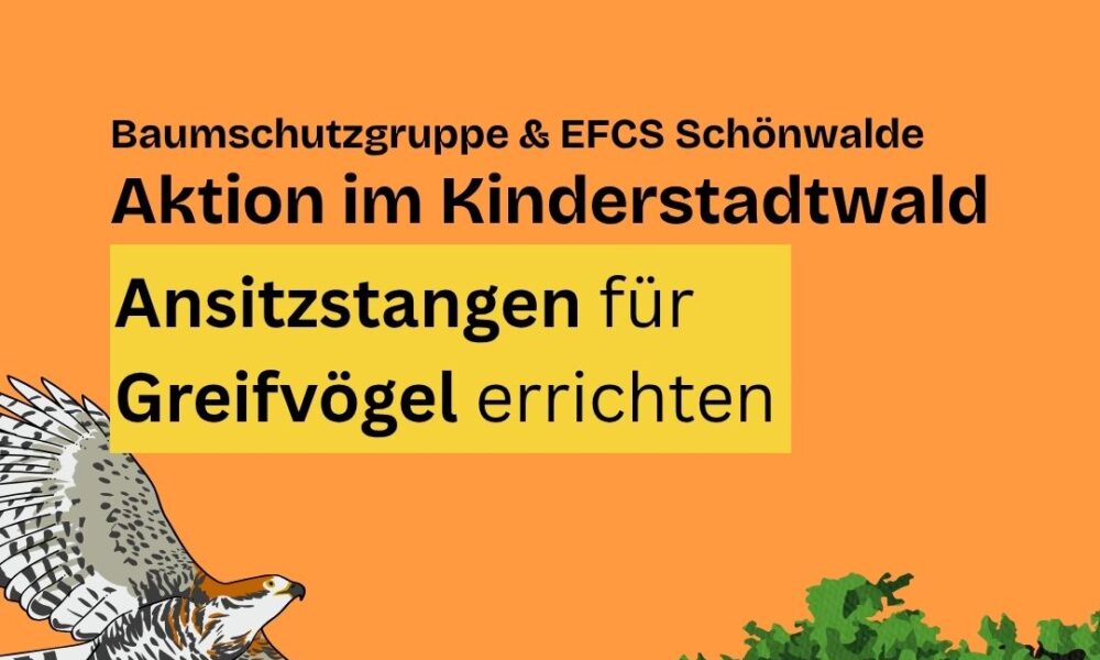 Neue Ansitze im Kinderstadtwald