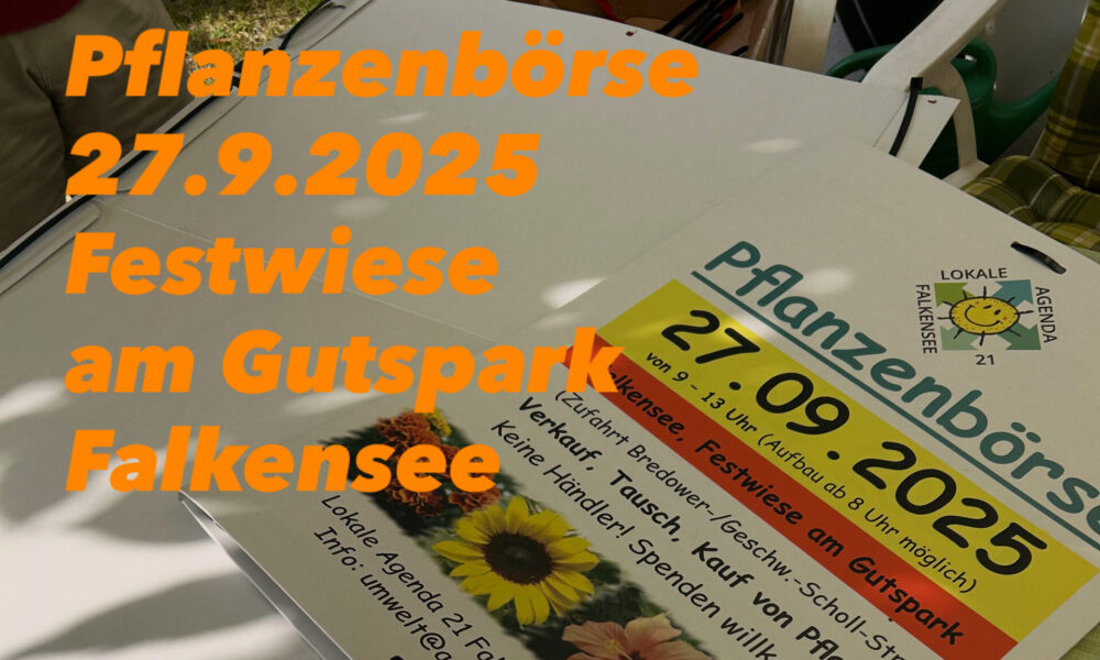 Pflanzenbörse am Samstag, den 27.9.2025, 9 Uhr