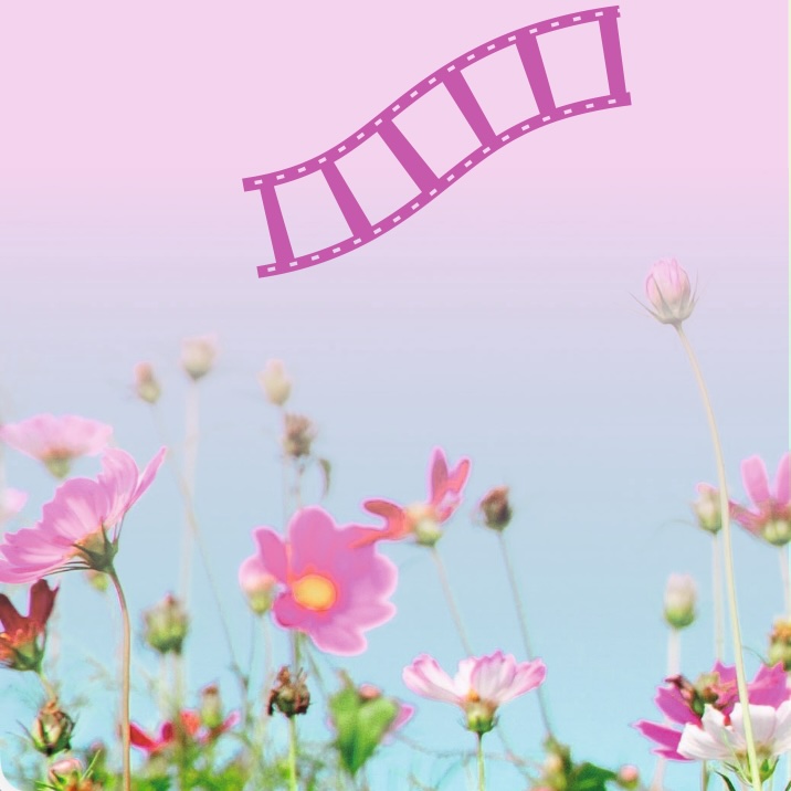 Open-Air-Filmabend des Jugendforums